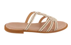 Gl Corsica White
