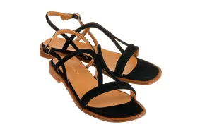 Hay Stella Black