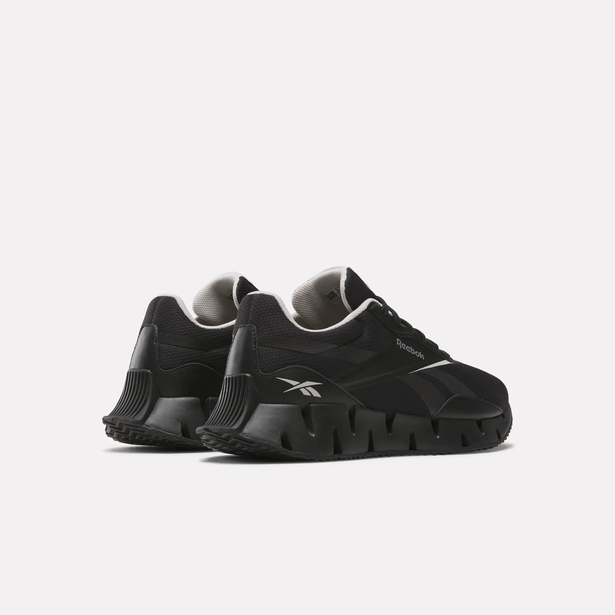 Zig Dynamica STR Shoes